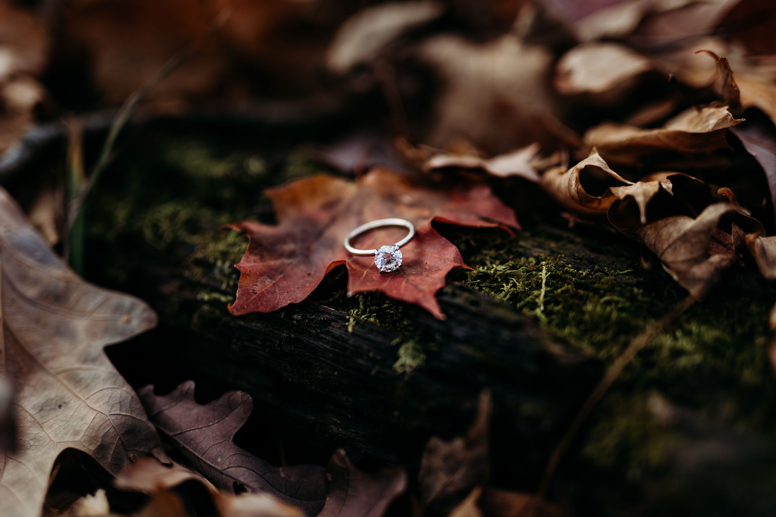 engagement ring detail shot palisades kepler state park mt vernon iowa sage and ivy studio oxford iowa corridor wedding