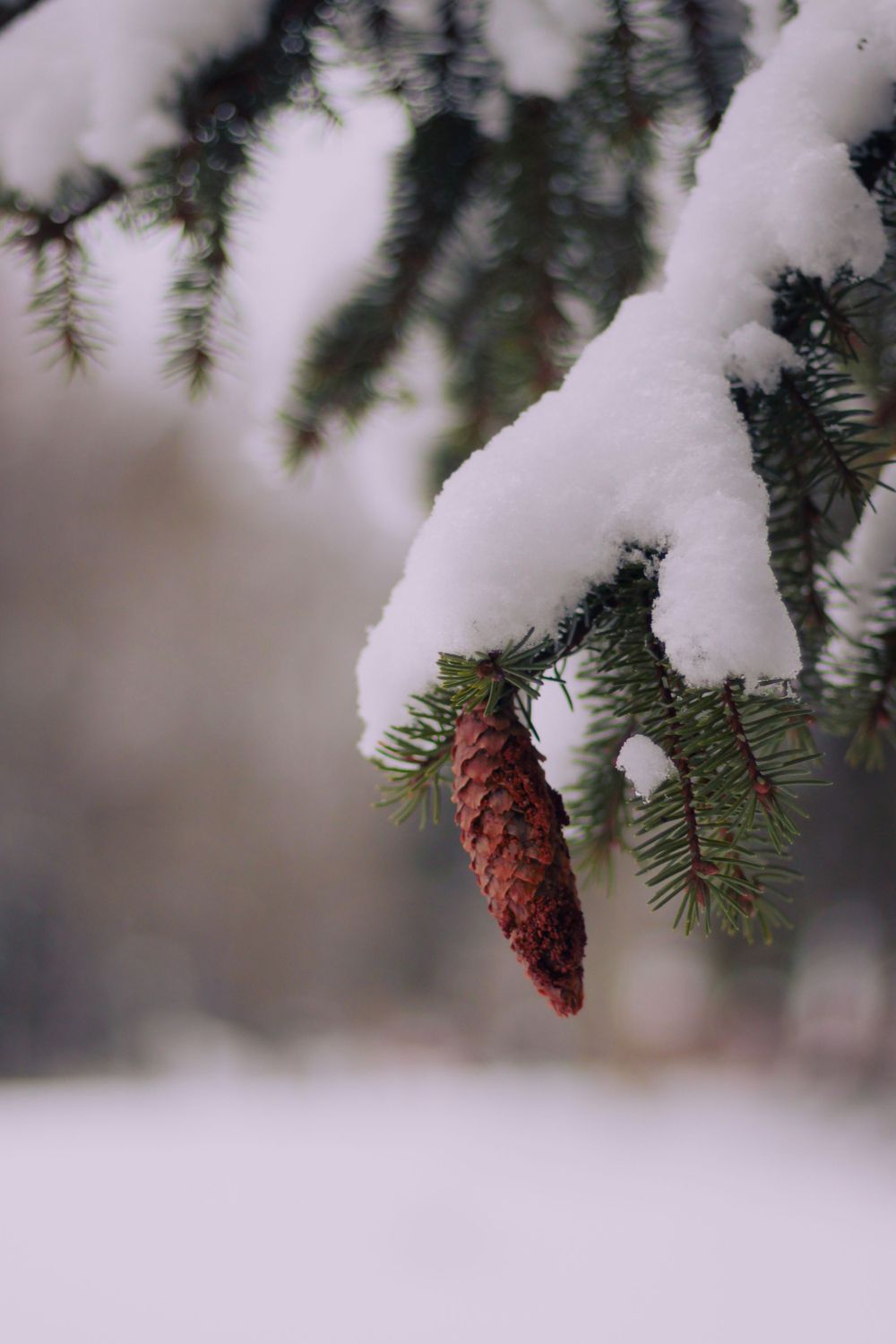 winter landscape detail