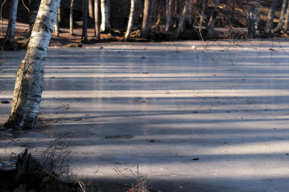 long shadows on the frozen lake