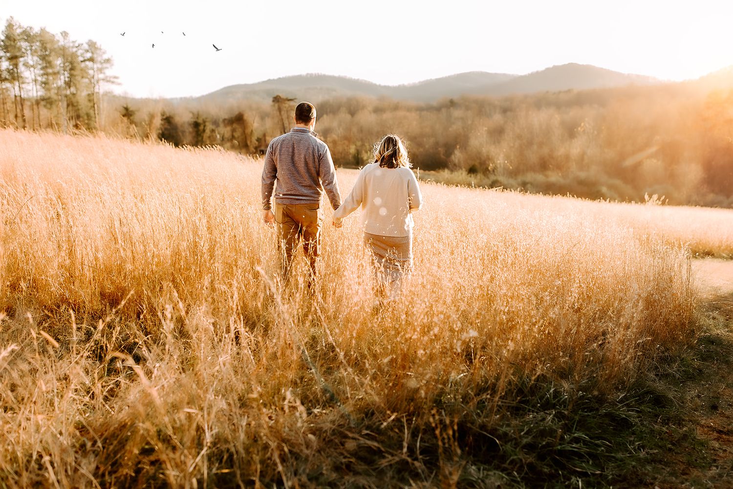 A couple walk through a golden field in Charlottesville.