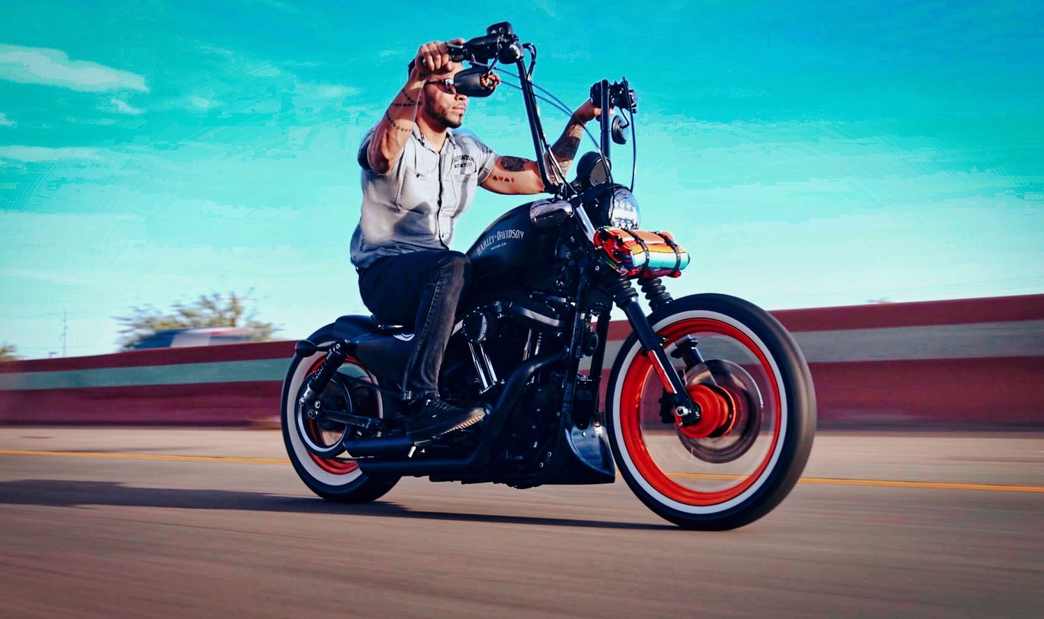 harley davidson, motorcycle, highway, roller, owner automotive session