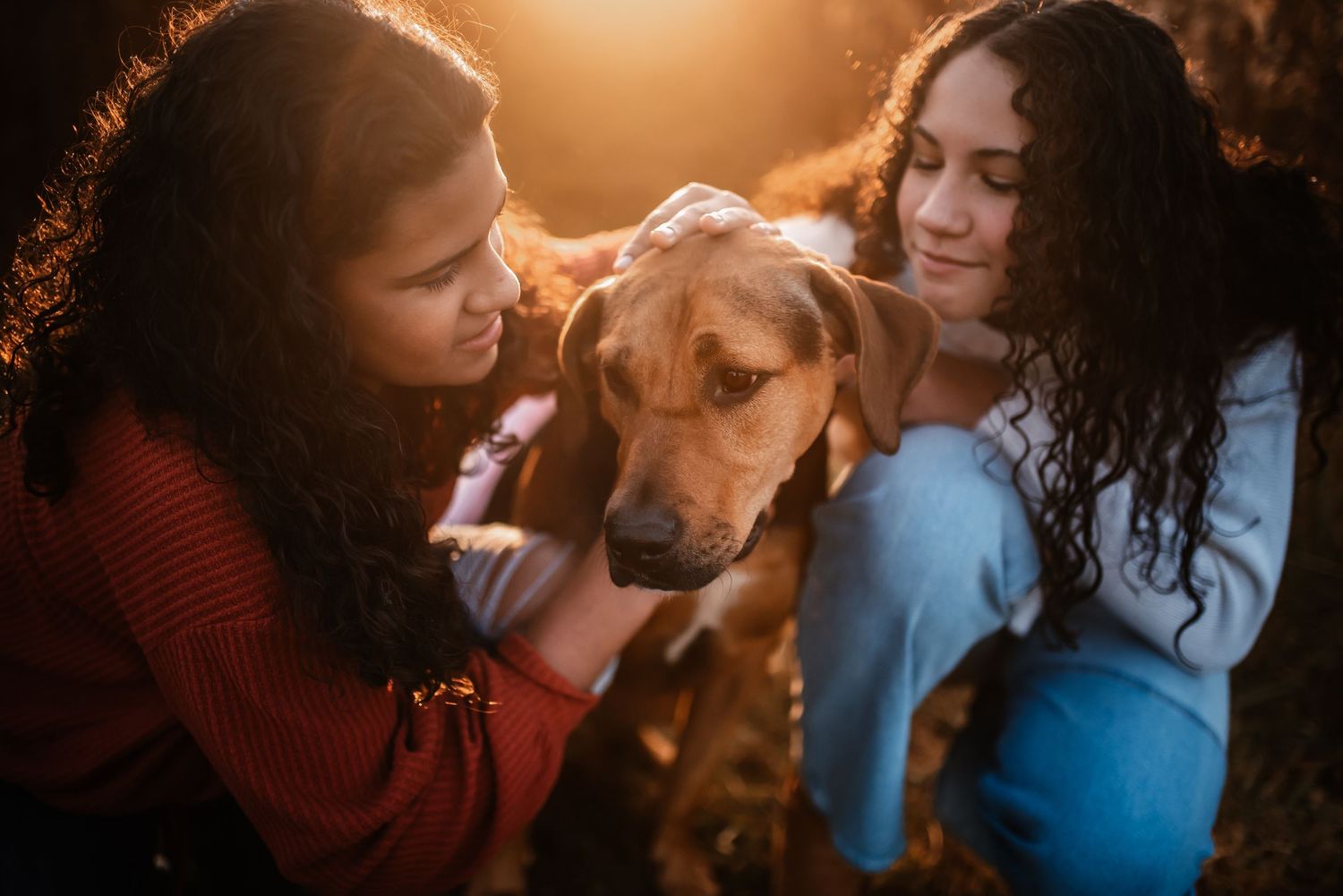Dublin, Ohio Family Photographer - Dublin, Ohio Photographer