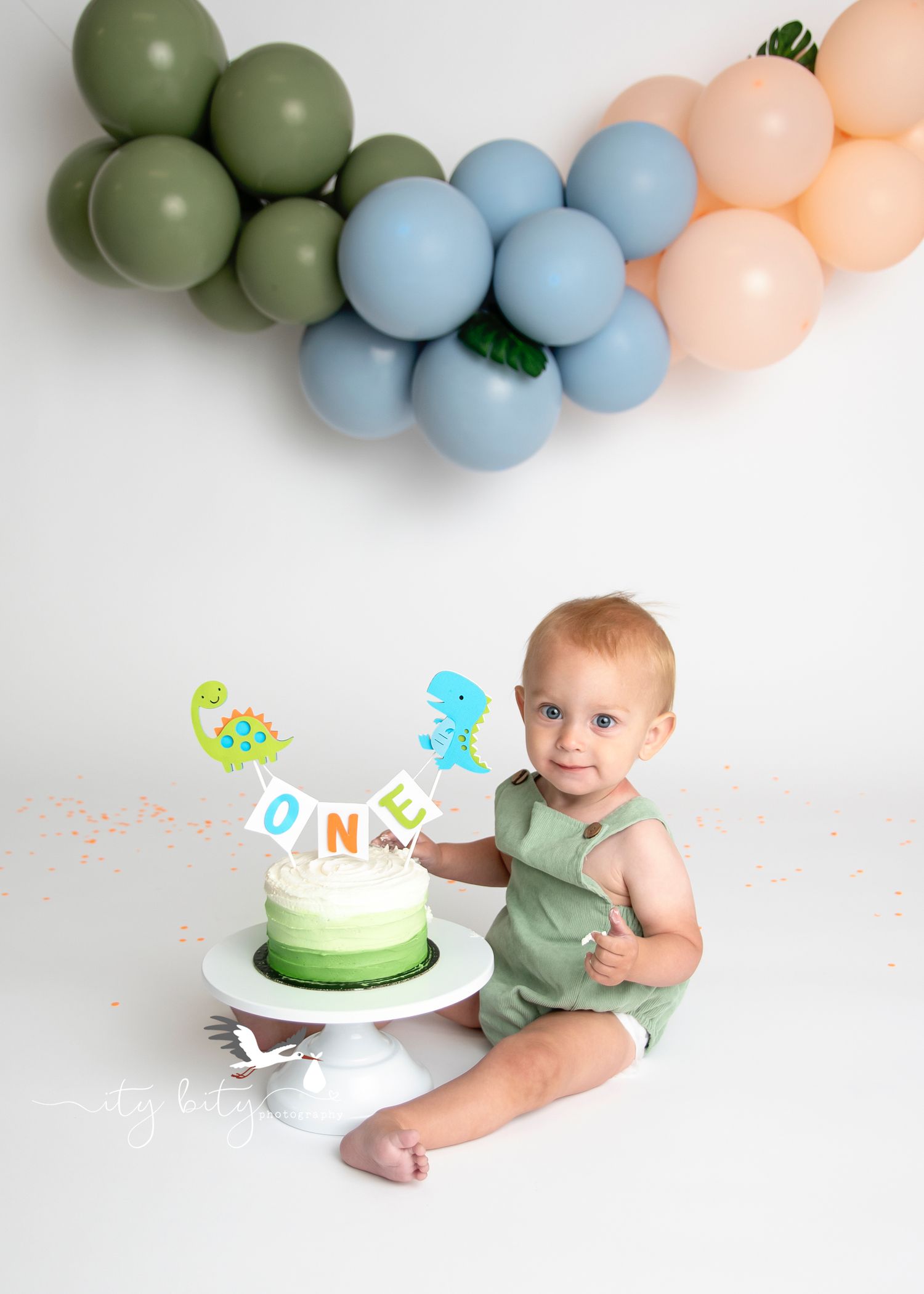 Dinosaur Cake Smash One Year Baby Liam Avon Photographer