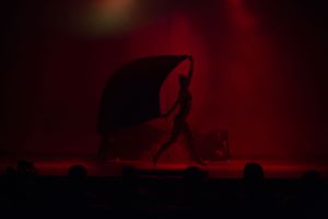 Silhouettes of dancers perform against a dramatic red-lit stage backdrop.