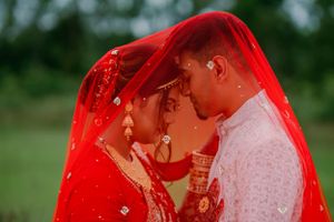 purple bird photo Australia wedding photographer in Sydney Wollongong Adelaide