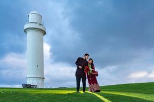 purple bird photo Australia wedding photographer in Sydney Wollongong Adelaide