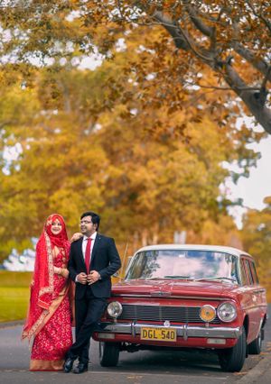 purple bird photo Australia wedding photographer in Sydney Wollongong Adelaide