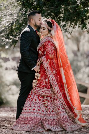 purple bird photo Australia wedding photographer in Sydney Wollongong Adelaide