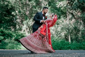 purple bird photo Australia wedding photographer in Sydney Wollongong Adelaide