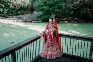 purple bird photo Australia wedding photographer in Sydney Wollongong Adelaide