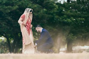 purple bird photo Australia wedding photographer in Sydney Wollongong Adelaide
