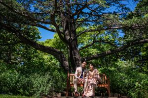 purple bird photo Australia wedding photographer in Sydney Wollongong Adelaide