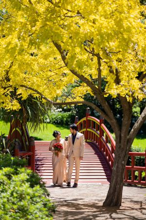 purple bird photo Australia wedding photographer in Sydney Wollongong Adelaide