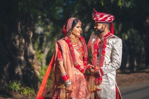 purple bird photo Australia wedding photographer in Sydney Wollongong Adelaide