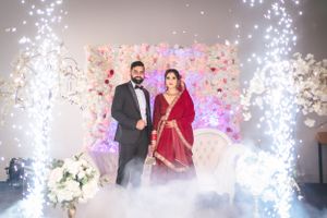 purple bird photo Australia wedding photographer in Sydney Wollongong Adelaide