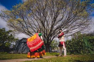 purple bird photo Australia wedding photographer in Sydney Wollongong Adelaide
