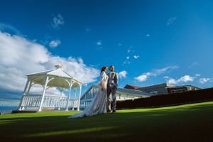 purple bird photo Australia wedding photographer in Sydney Wollongong Adelaide