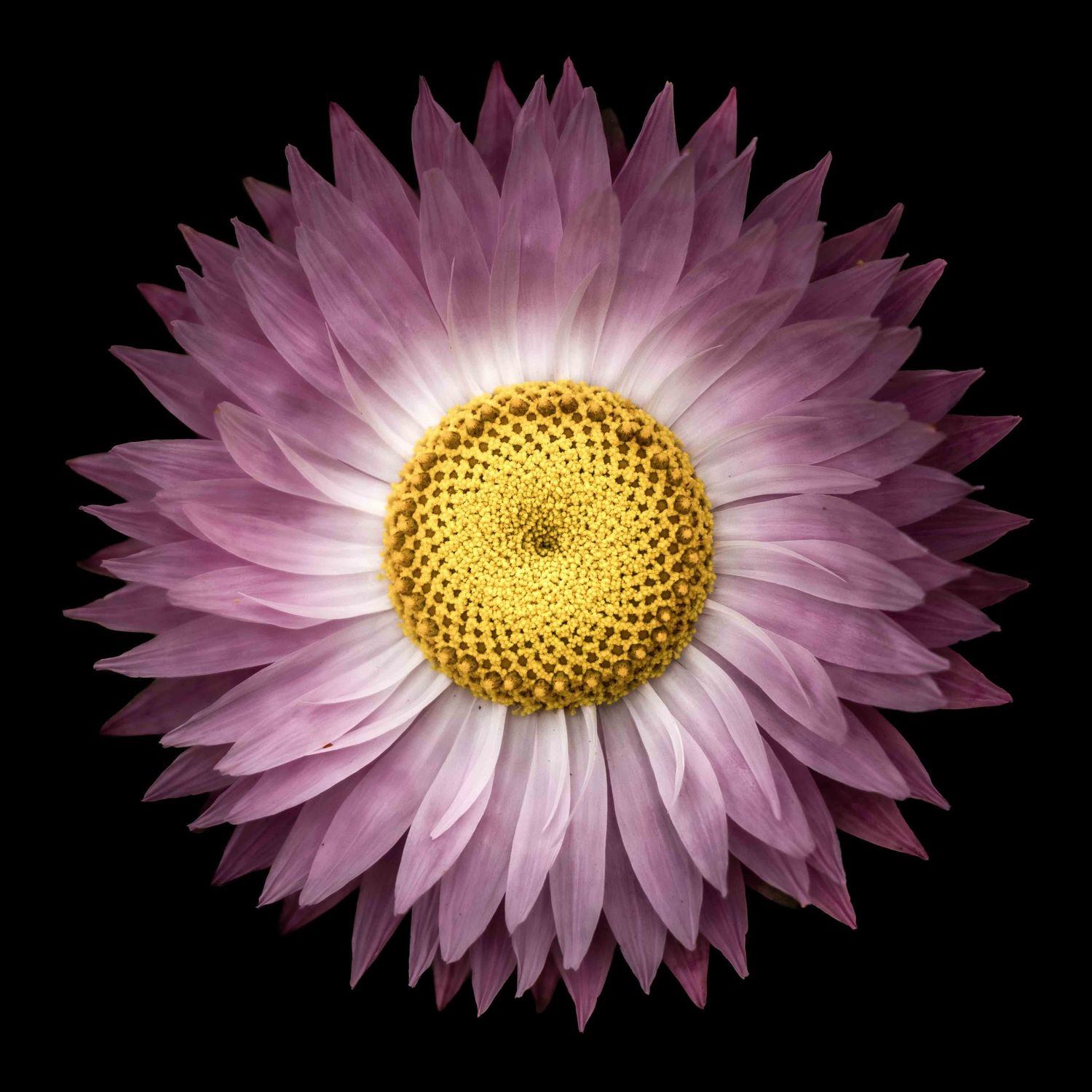 John Peters Photography