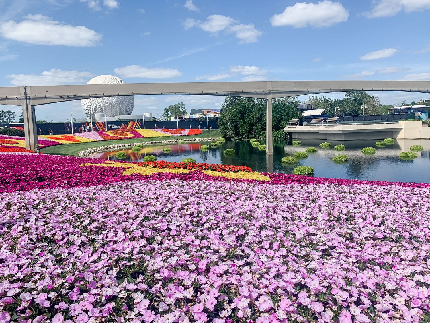 A vibrant field of pink flowers blooms in front of modern architecture with a waterway and blue sky.