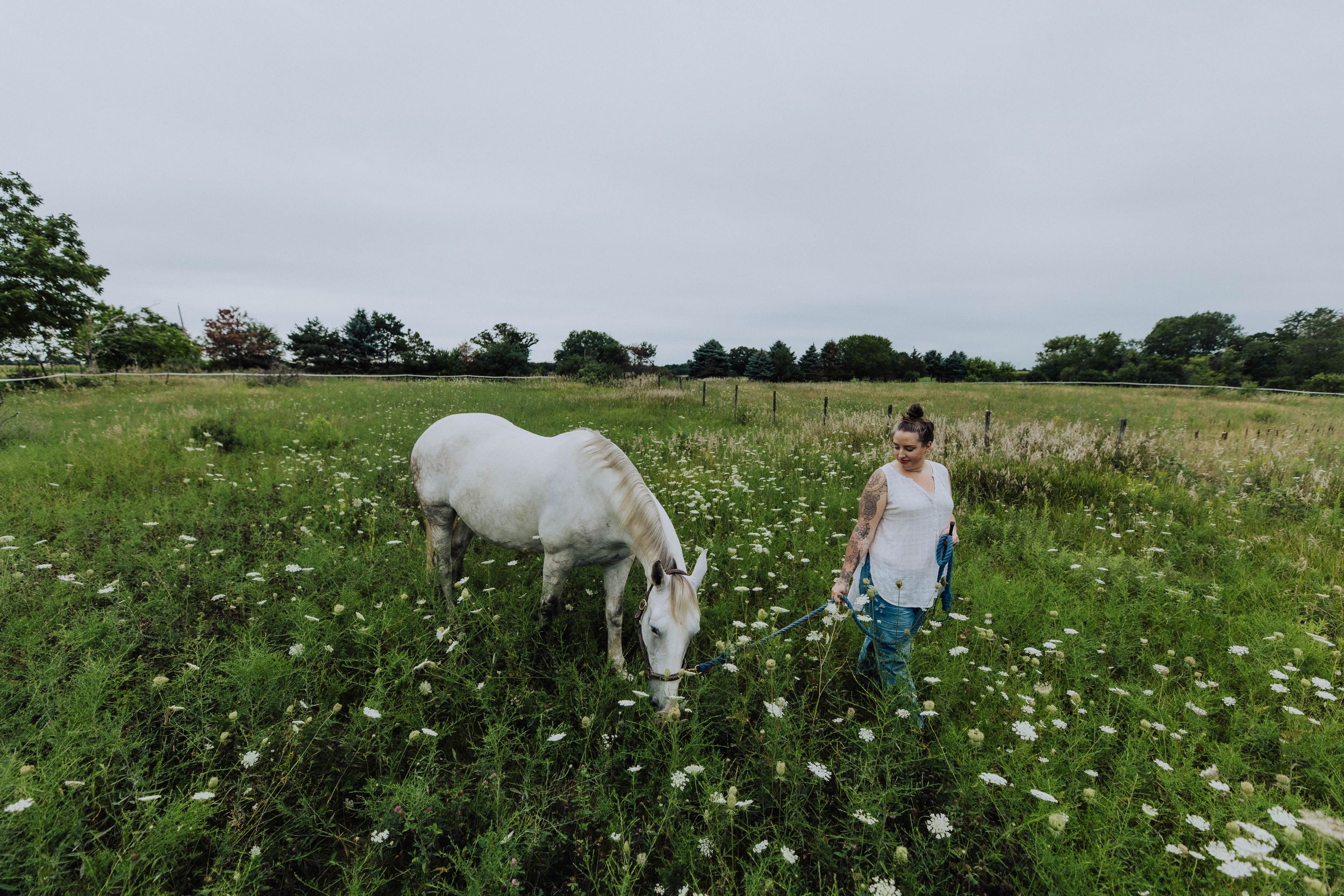 White horse grazing in a green field filled with wildflowers on a cloudy summer day.