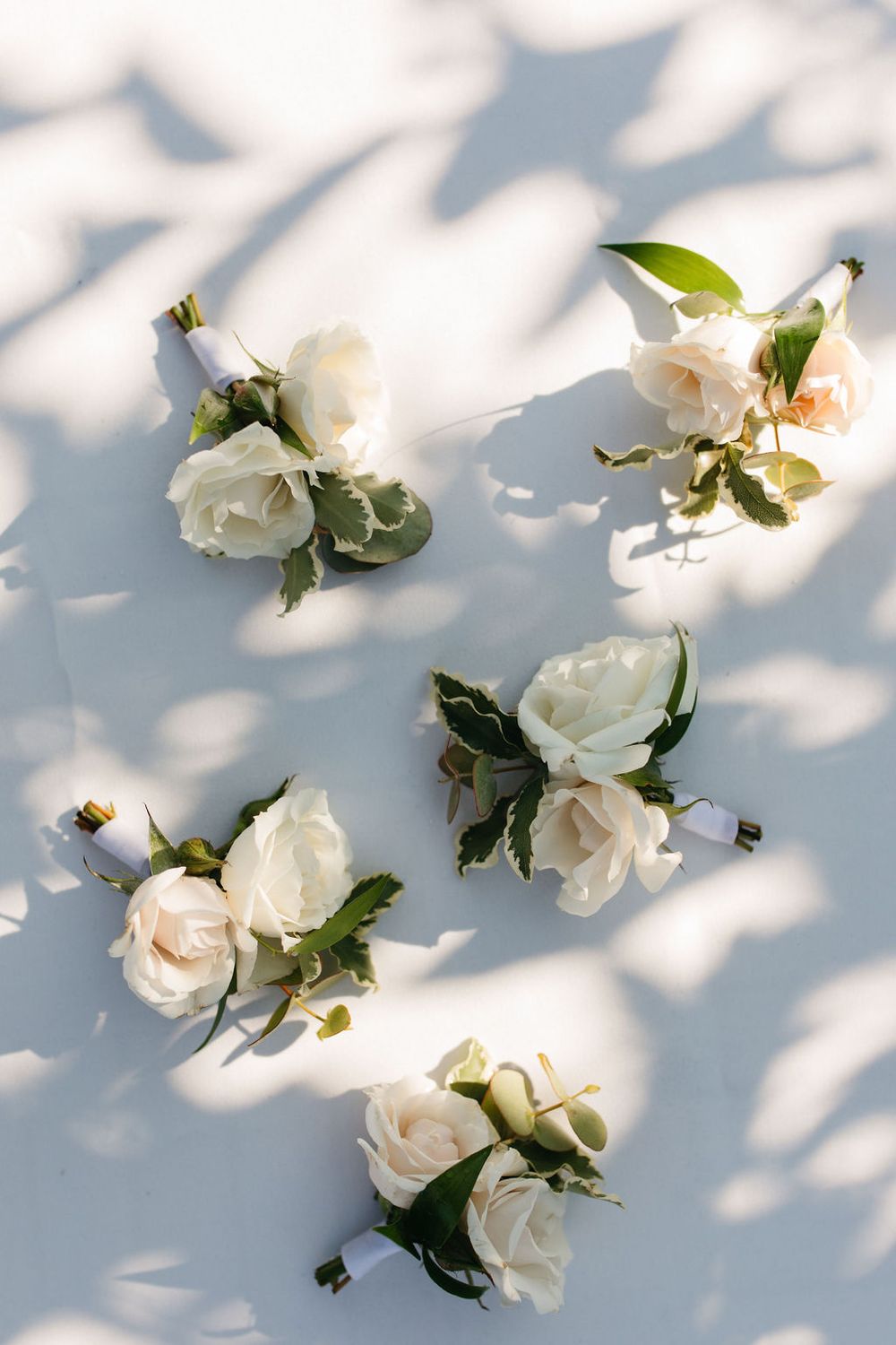 White roses with green leaves arranged on white surface with soft shadow patterns.