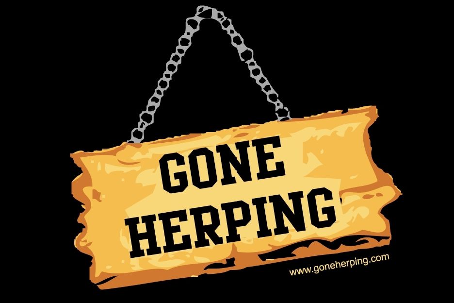 Gone Herping