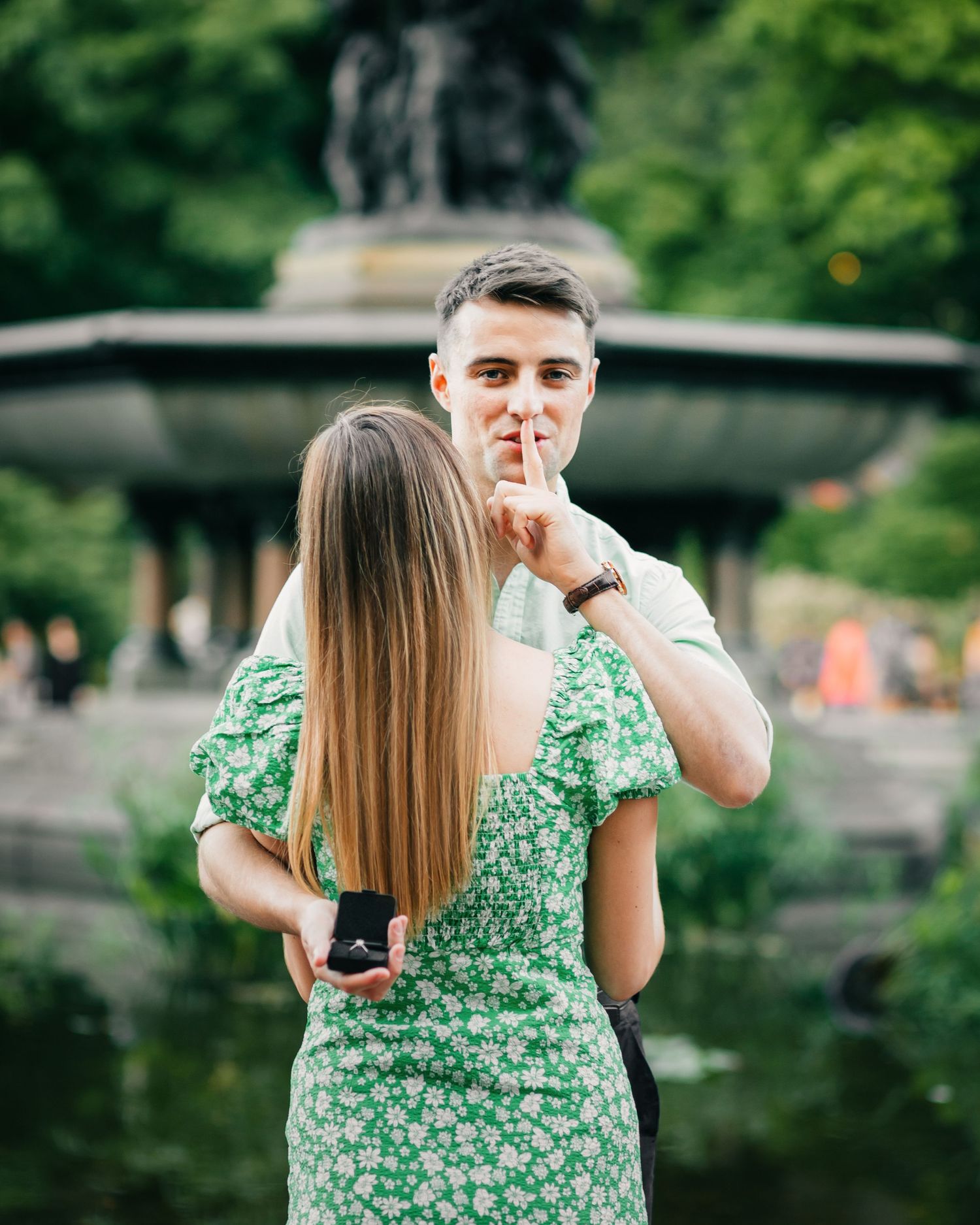 secret proposal Central park