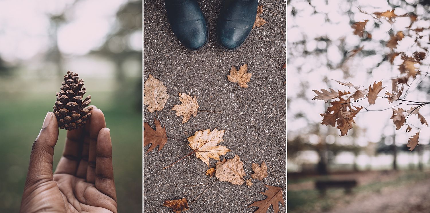 couleurs d'automne celine.s Photography