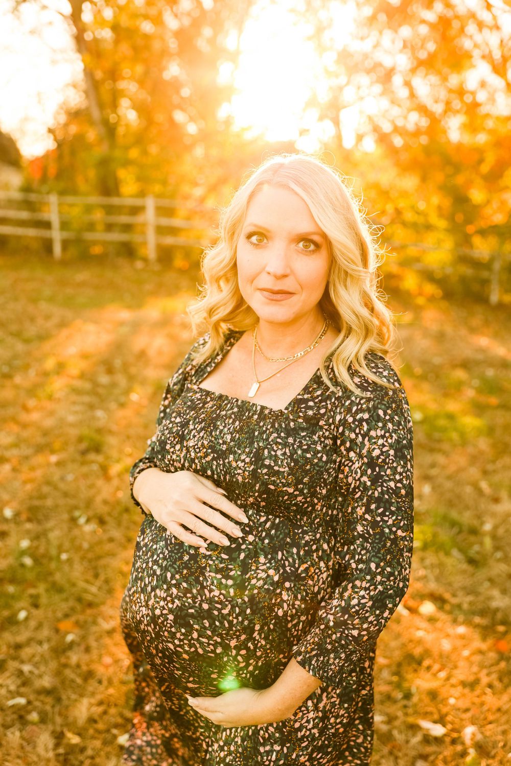 Golden sunset maternity photo with fall foliage and wooden fence in background.