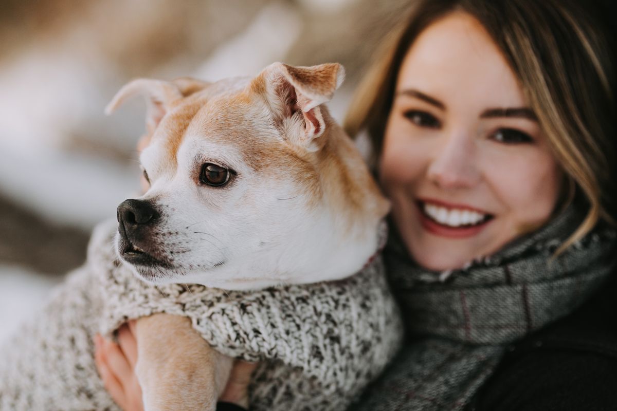 Frank / Winter Dog Photography in Ottawa Sunfox Family Photography