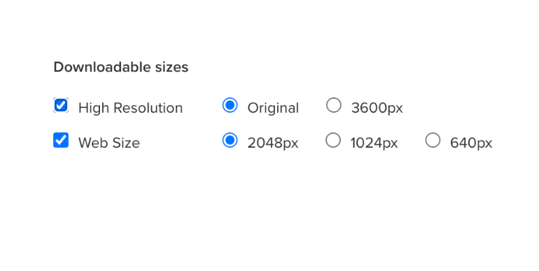 Downloadable photo size options panel showing high resolution and web size selection controls.