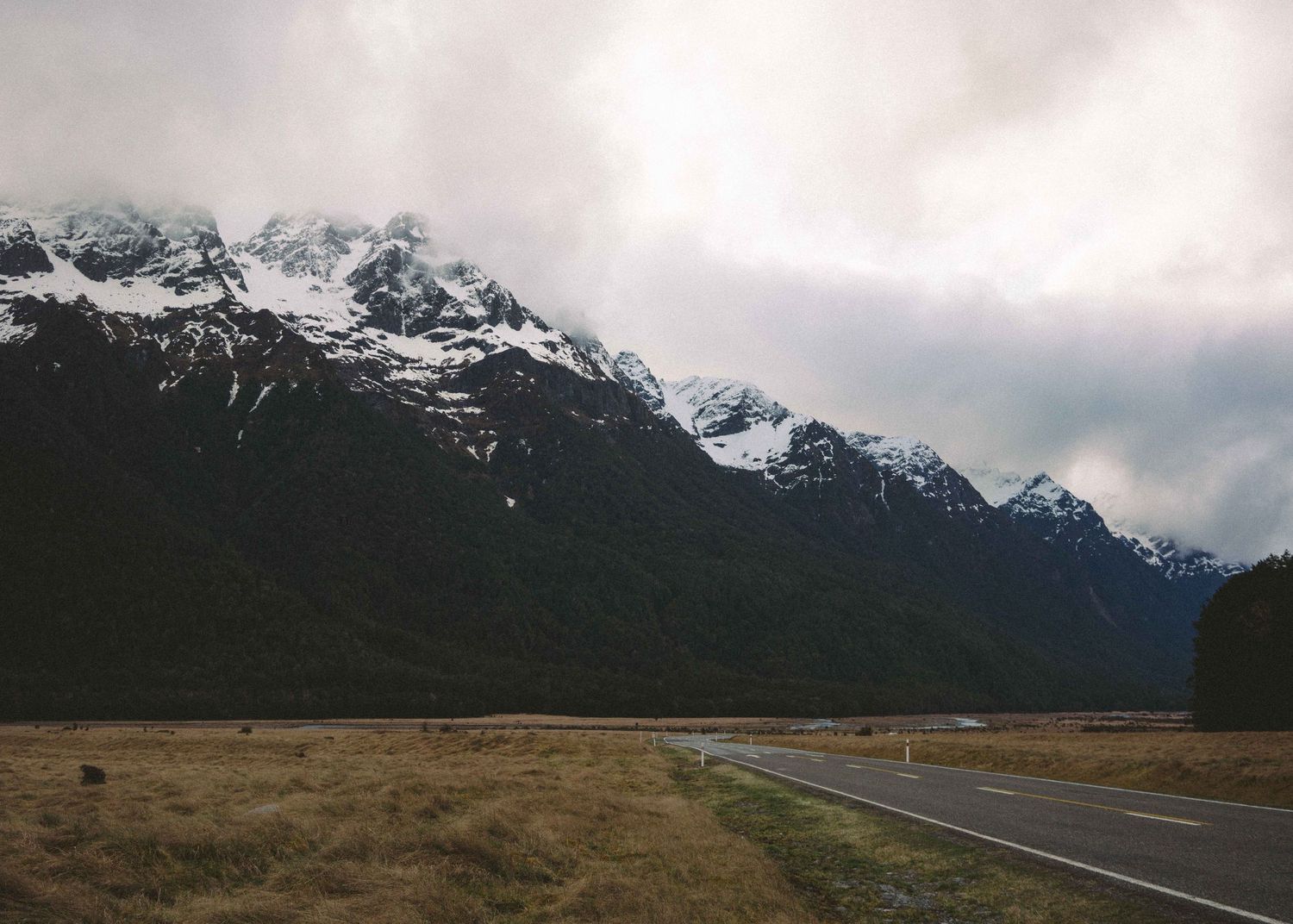 New Zealand Mountain