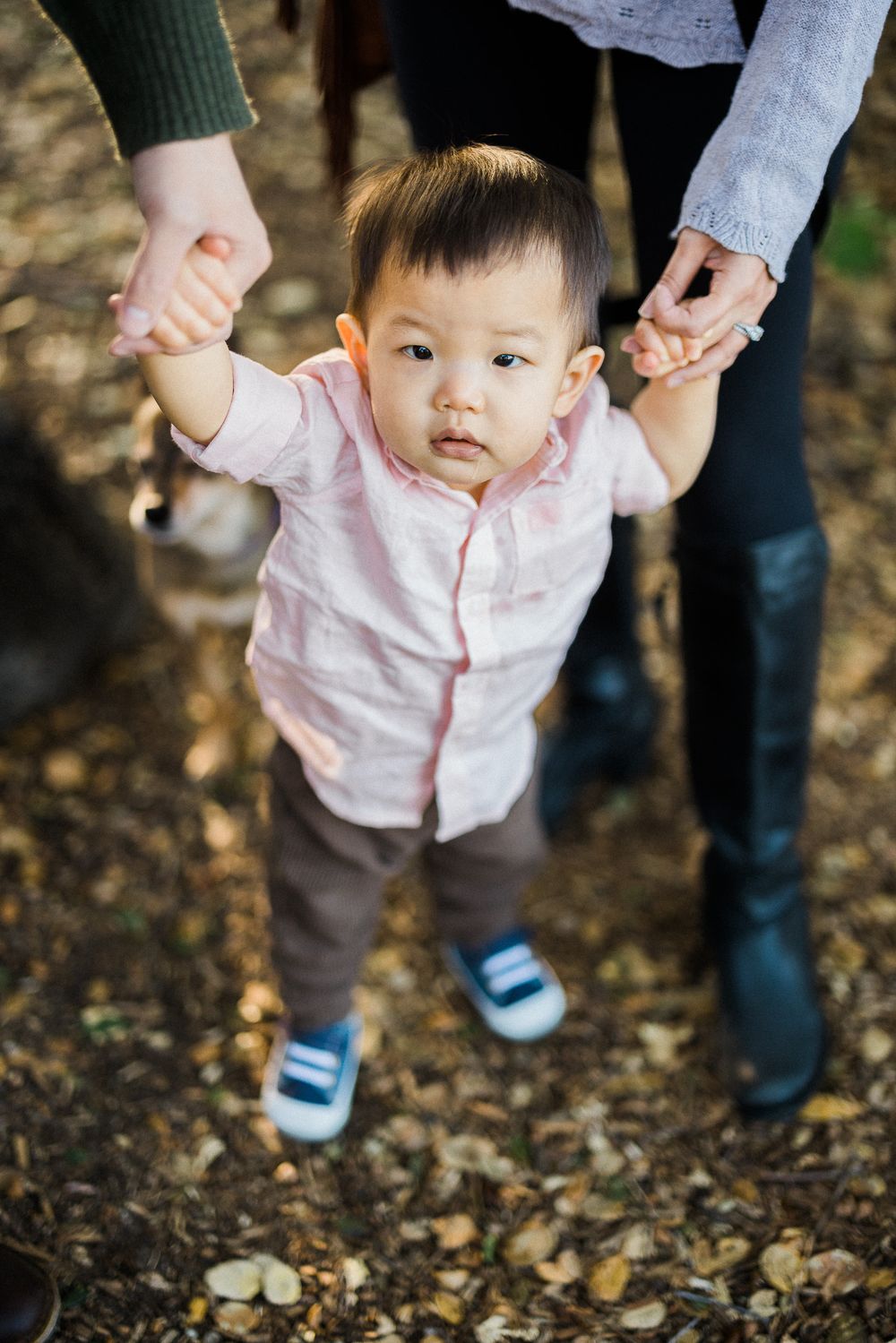 A toddler in a pink shirt learns to walk while holding hands with adults.