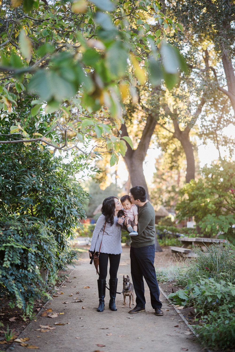A family takes a stroll with their dog along a tree-lined path at sunset.