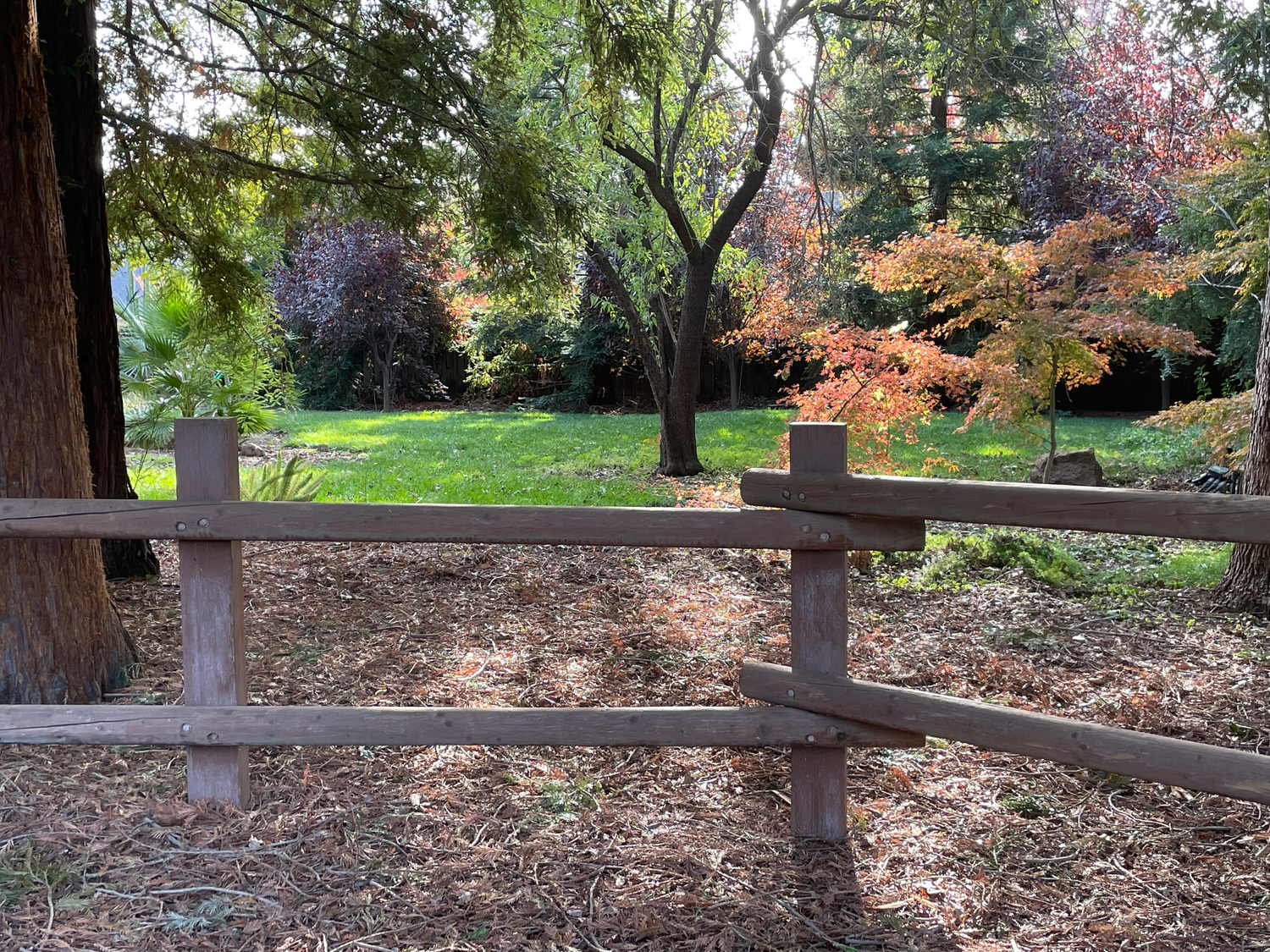 Autumn park scene with wooden fence, fallen leaves, and colorful trees in the background.