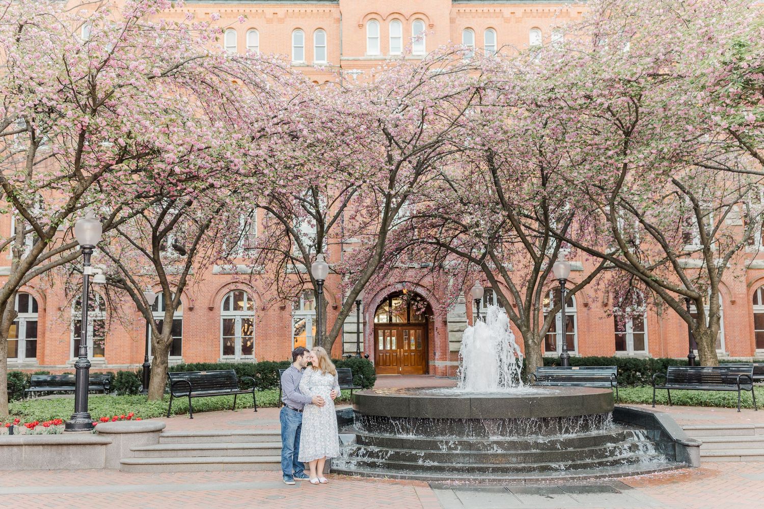 Cherry blossom trees bloom around a brick building on a sunny spring day.