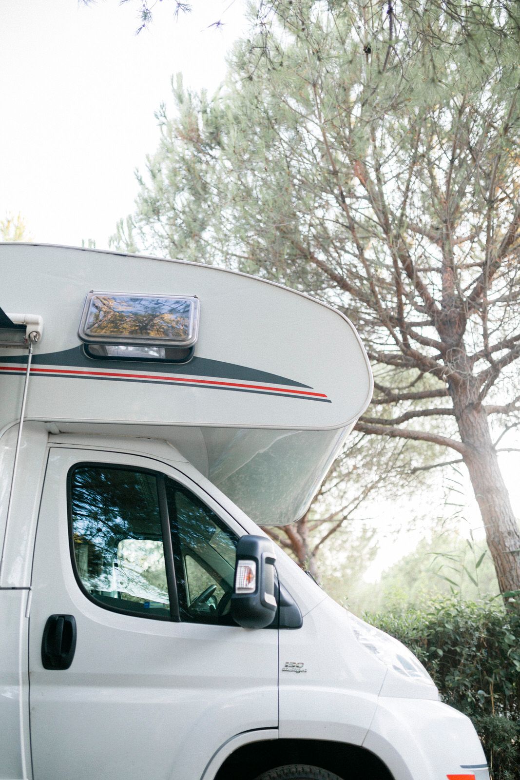 White recreational vehicle parked under tall pine trees.