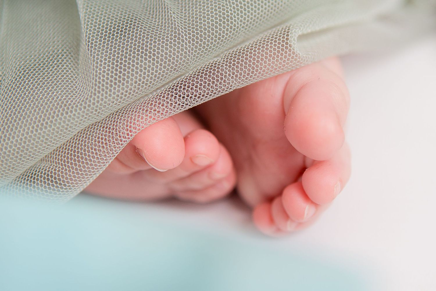 Close-up of tiny baby feet beneath delicate tulle fabric.