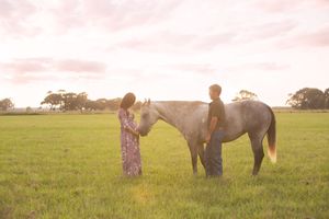 Couple with white horse in field during sunset maternity photoshoot.
