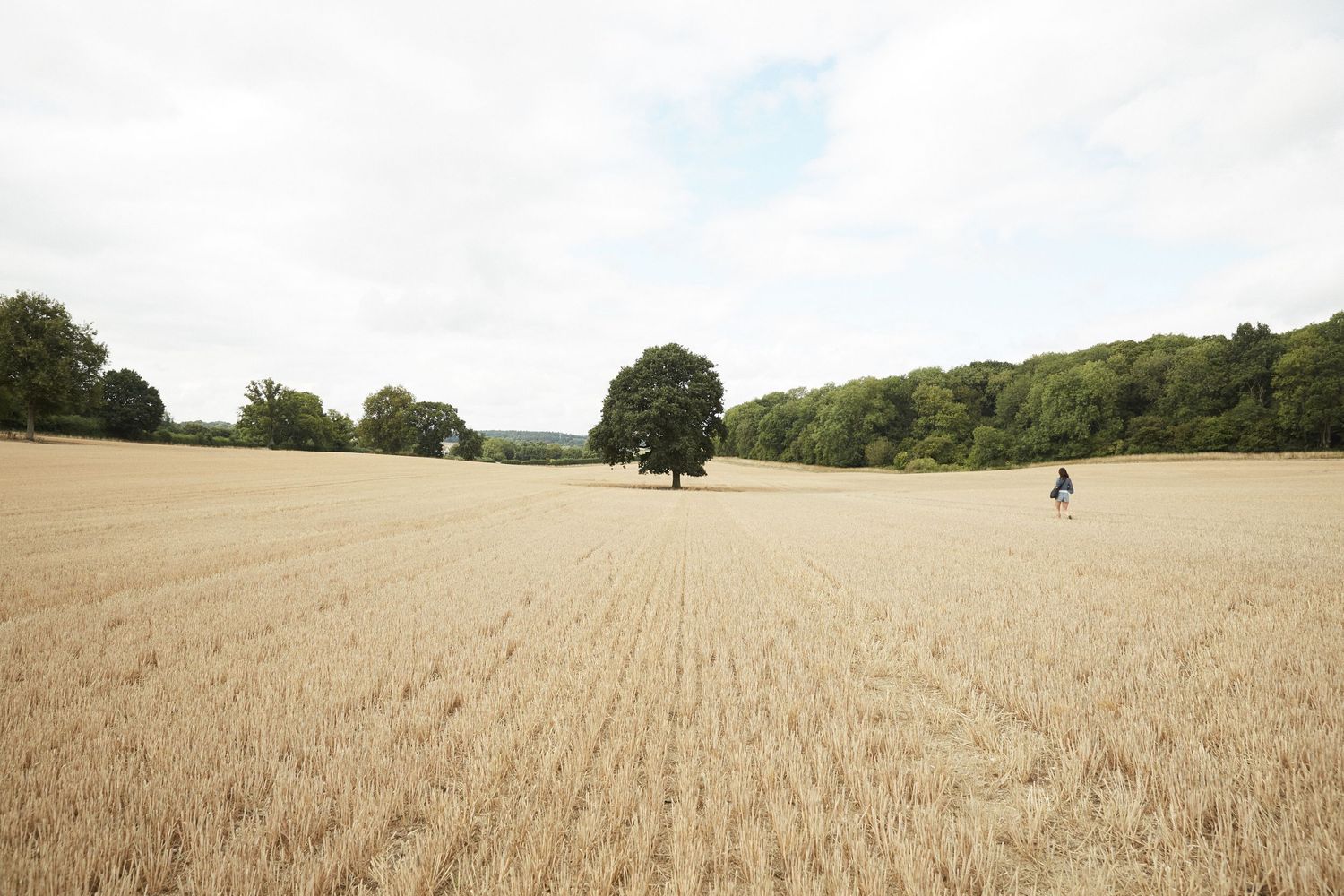 Girl walking through a field towards a tree