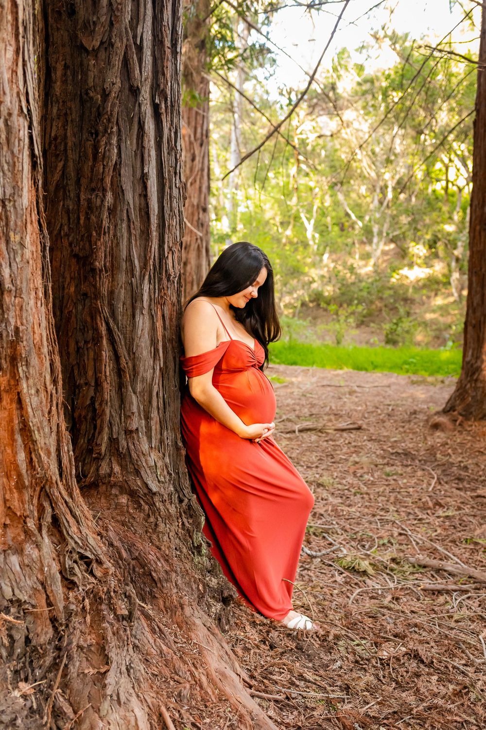 maternity-photographer-DC.jpg