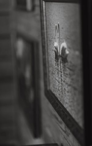 Black and white close-up of a framed artwork depicting two swans on reflective water.