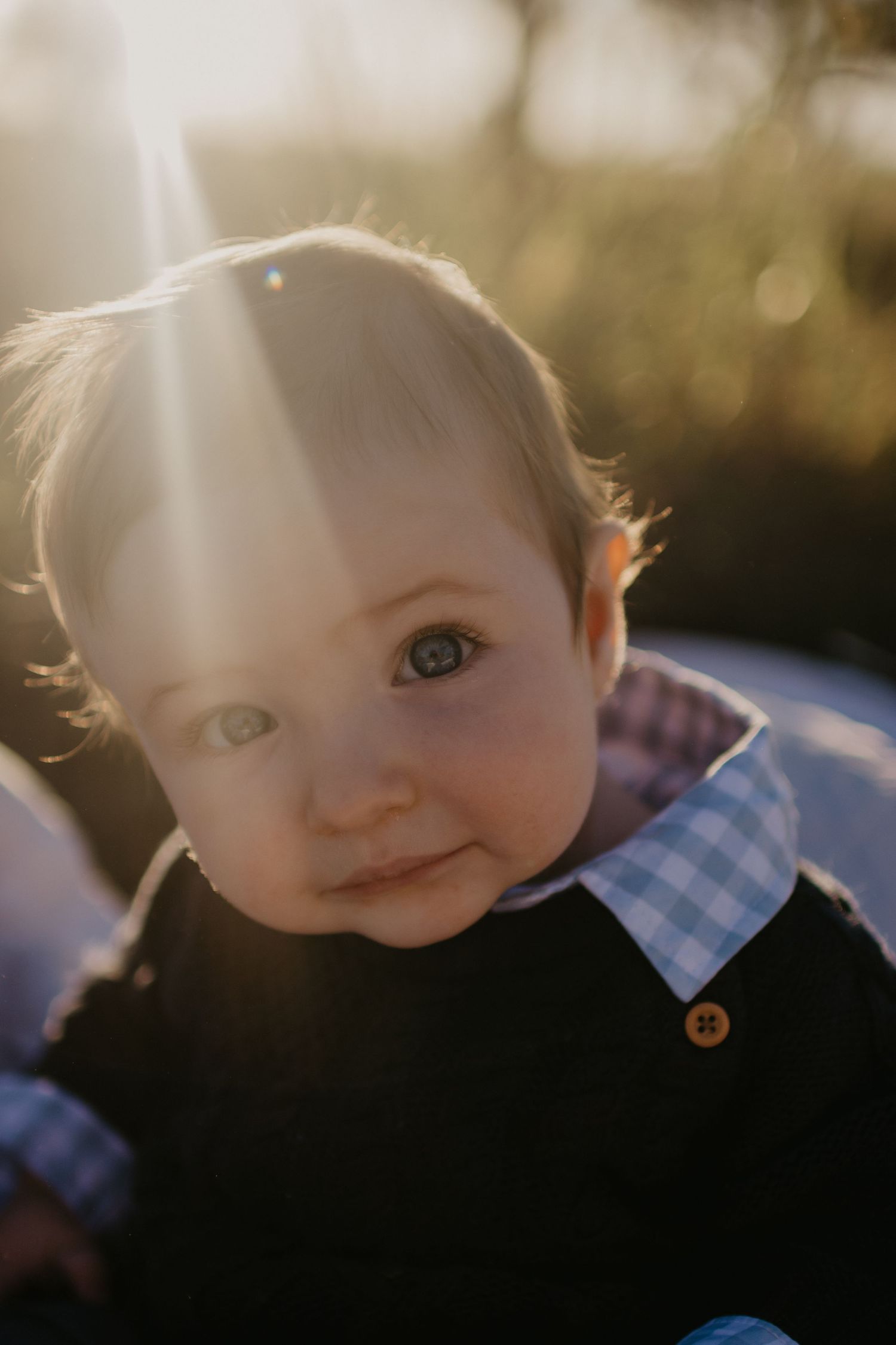 blue eyed boy in the golden haze