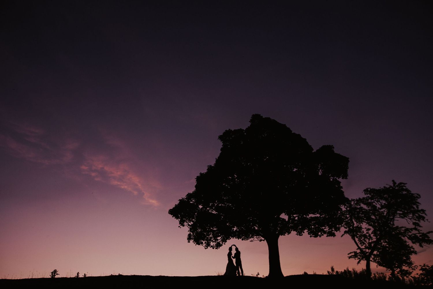 Silhouettes of trees and figures against a dramatic purple sunset sky.