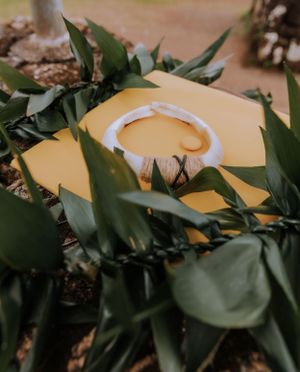 Close-up of gold graduation cap surrounded by green foliage.