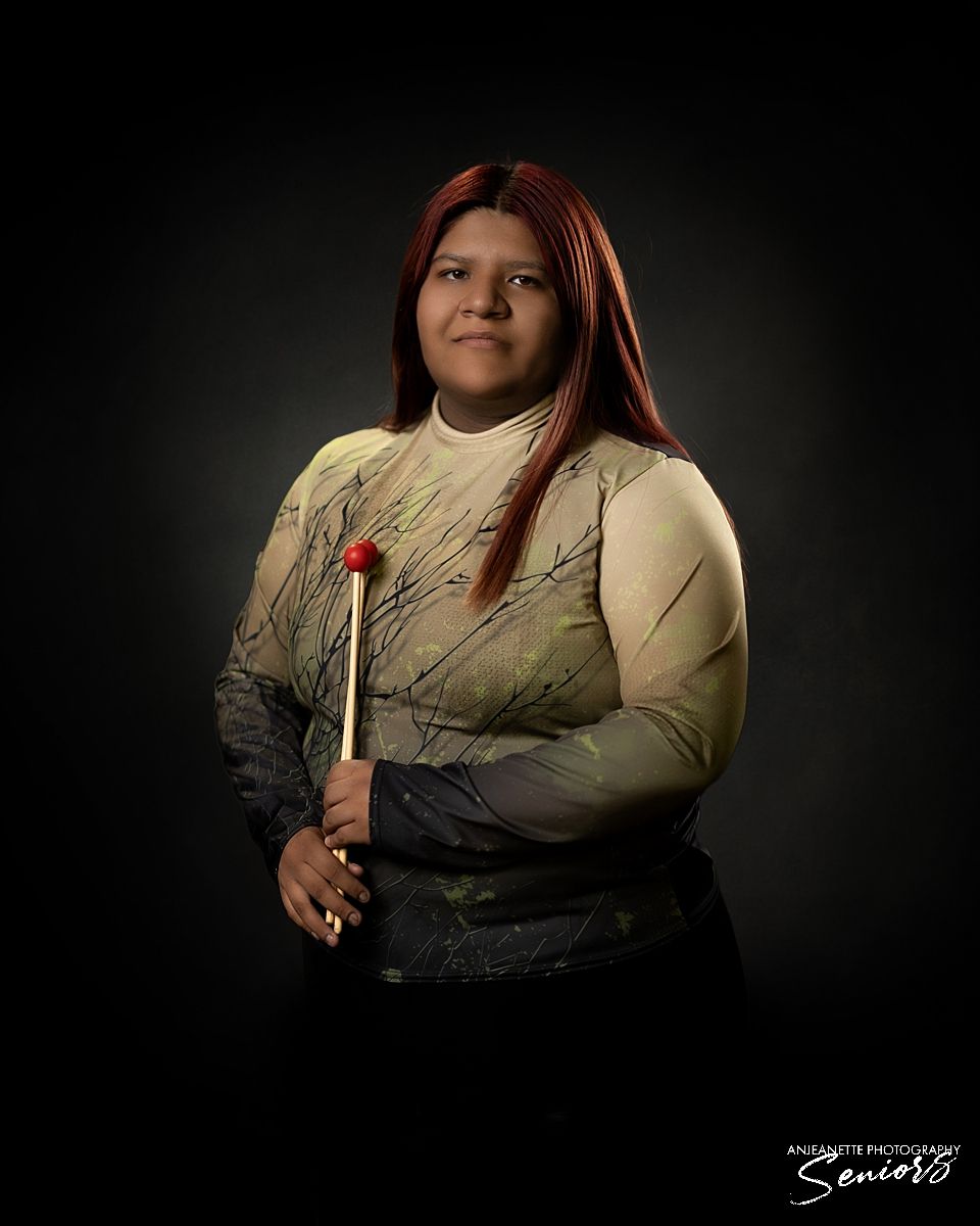 phoenix Marching Band Pictures Anjeanette Photography senior ABODA AZMBA WGAZ High School banners AZ
