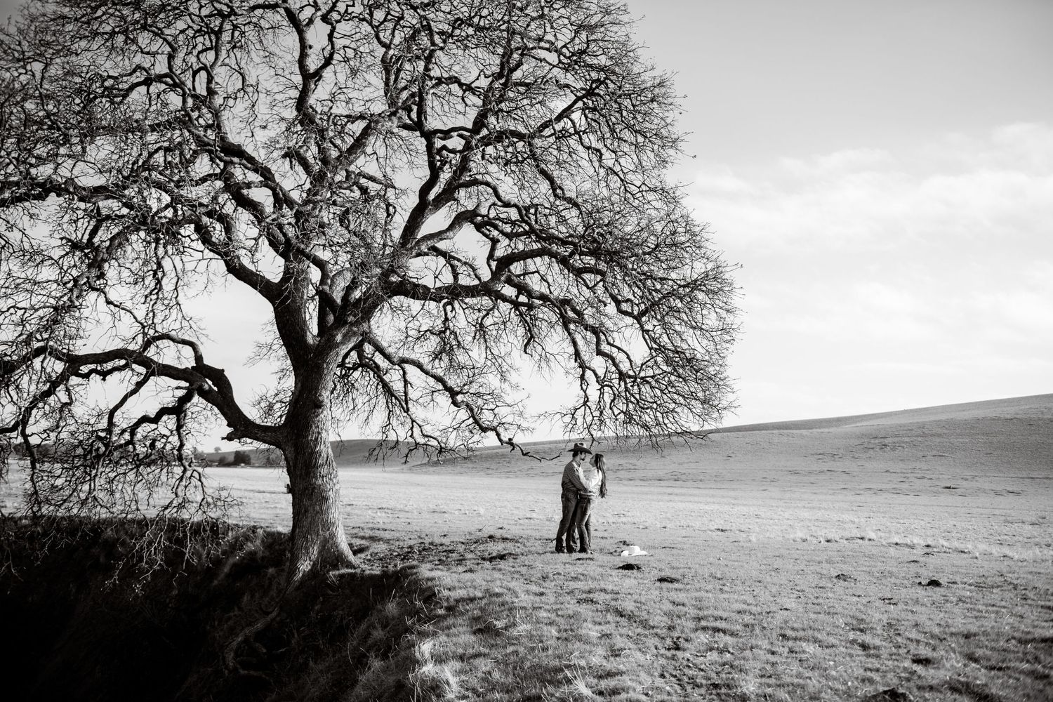 Country style engagement session, Private Property, Antioch CA.