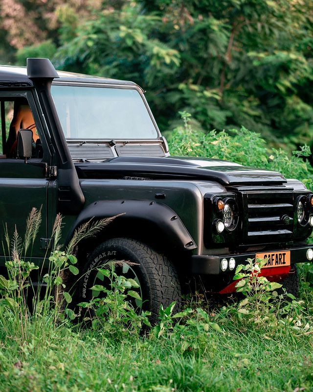 Safari trip