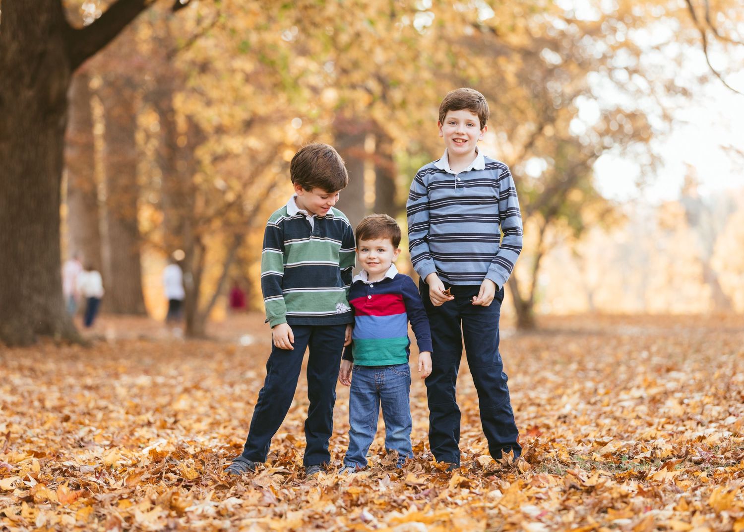 Emily Butz M.Photo Richmond Virginia Fall mini Family photo session Dogwood Dell