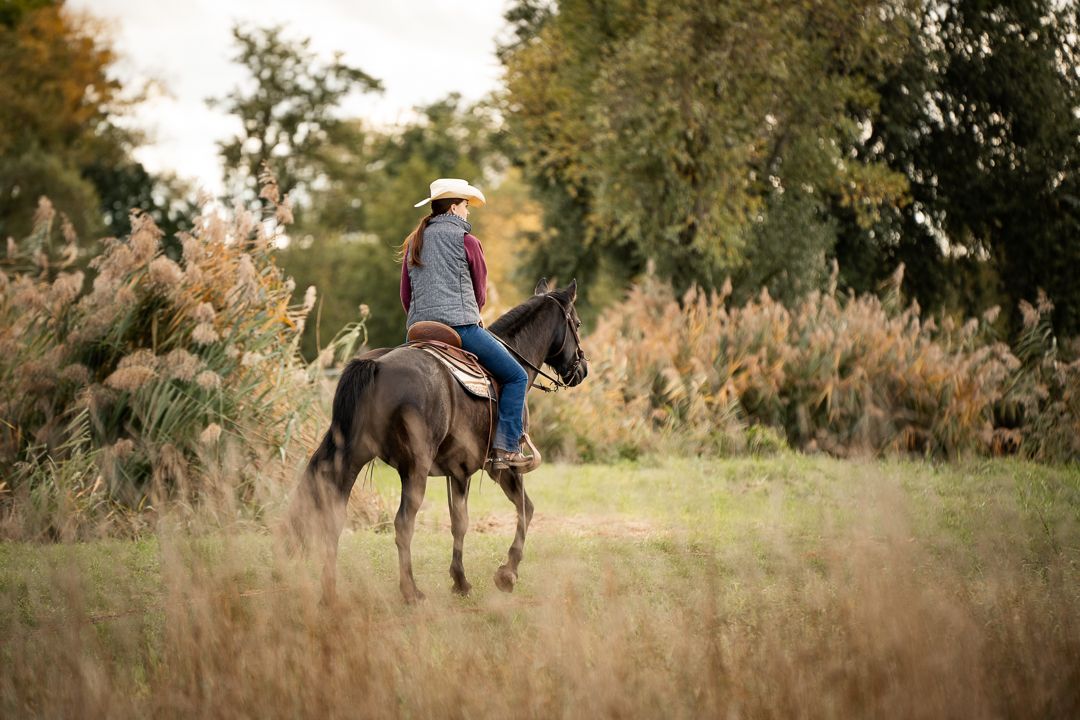 Randonnée à cheval western